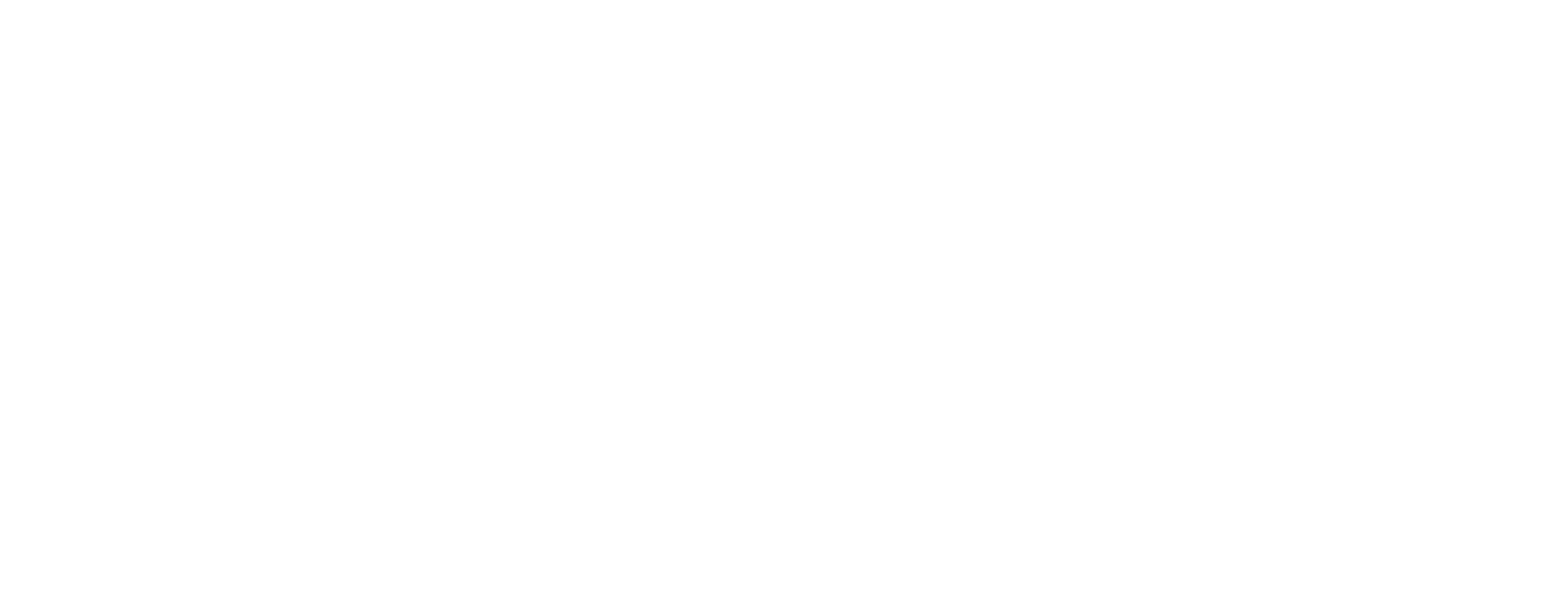Cnud Efco GFT